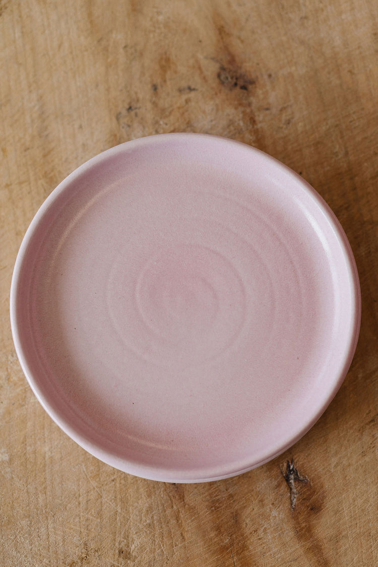 FN Dinner Plate, Pink (4-Pack)