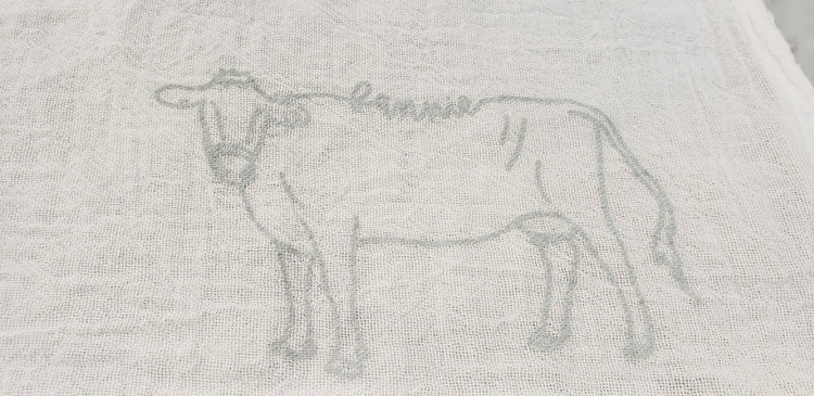 FN Flour Sack, Fannie